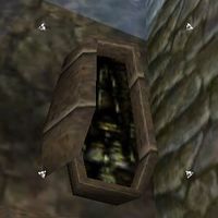Opened Coffin