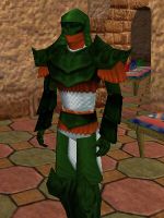 Seasoned Explorer Armor