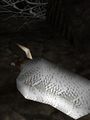 Thumbnail for version as of 12:27, 9 June 2023