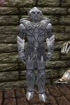Alduressa Armor Argenory Live.jpg