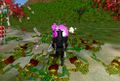Live Event 200410 SC Tou-Tou Mosswarts Live.jpg