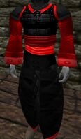 Plated Amuli Coat Red Live.jpg