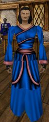 Wedding Raiment Women Blue Live.jpg