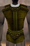 Armoredillo Hide Cuirass Berimphur Live.jpg