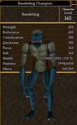 Banderling Champion.jpg