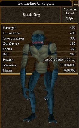 Banderling Champion.jpg