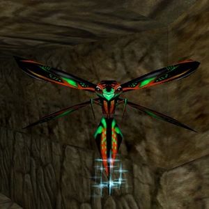 Giant Phyntos Wasp Live.jpg