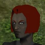 Haircut Skin 20 Live.jpg