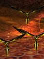 Killer Phyntos Swarm Live.jpg