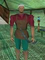 Roaming Bowyer (Outskirts Qalaba'r) Live.jpg