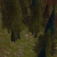 Small Hill Base Live.jpg