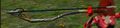 Thumbnail for version as of 13:47, 9 June 2023
