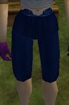 Loose Breeches (Dark Blue) Live.jpg