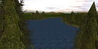 Wisp Lake Live.jpg