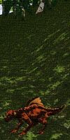 Moar (Town Network Painting) Live.jpg