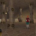 82.6S, 70.1W - Roaming Bowyer and Armorer Live 2.jpg
