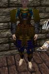 Koujia Armor Berimphur Live.jpg