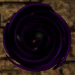 Portal Network.jpg