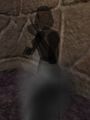 Thumbnail for version as of 13:27, 9 June 2023