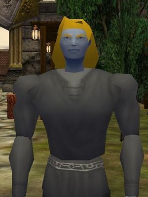 Sanamar Collector Live.jpg