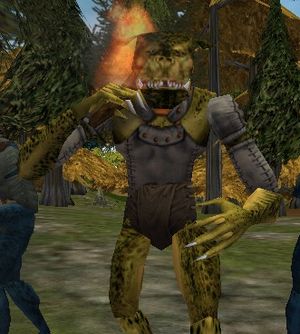 Chief Taraash Live.jpg